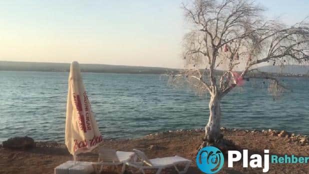 Didim plajları giriş ücretleri