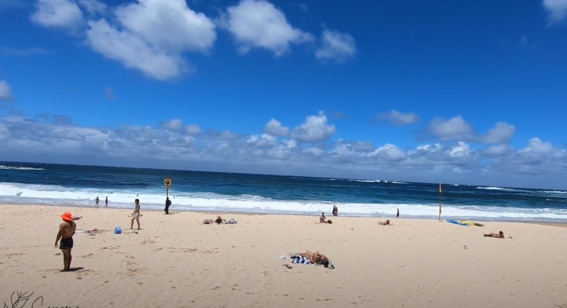 bondi plajı özellikleri