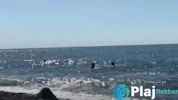 Rize Alipaşa kadınlar plajı
